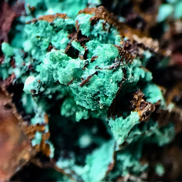Chrysocolla