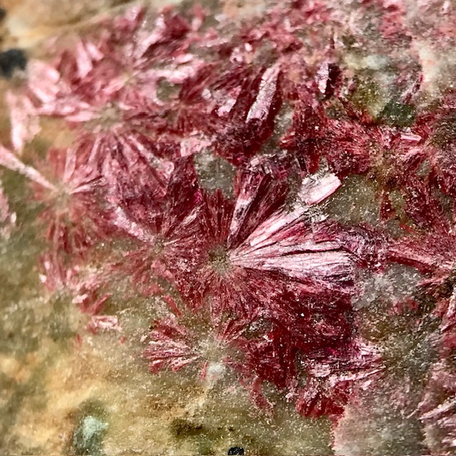 Erythrite
