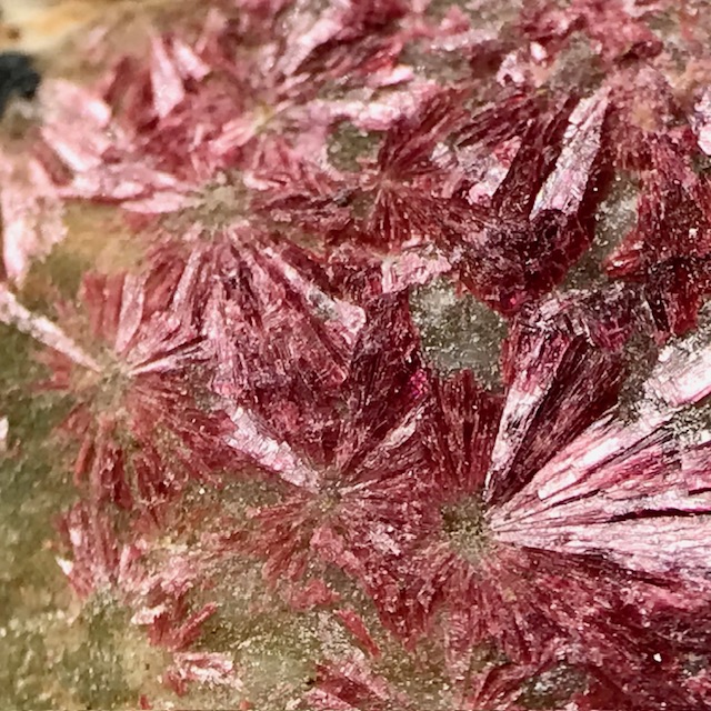 Erythrite