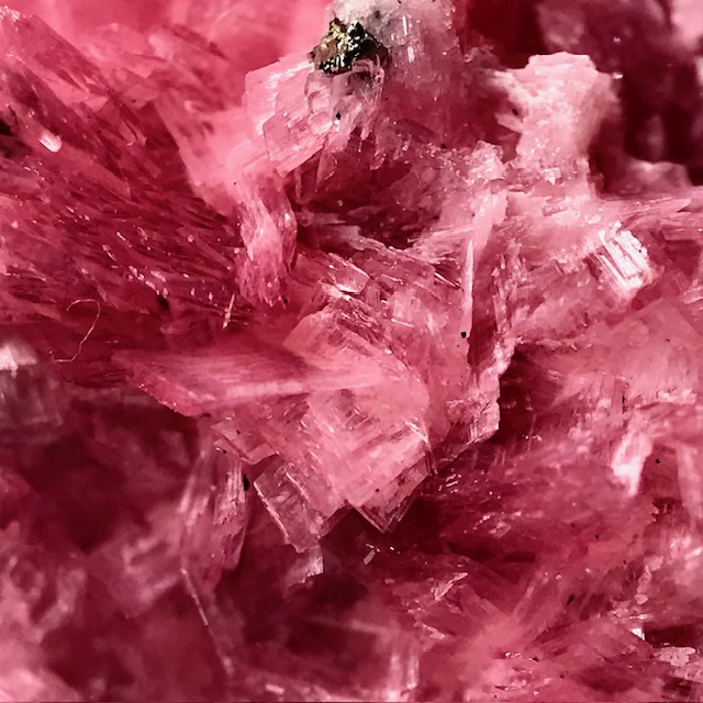 Rhodonite