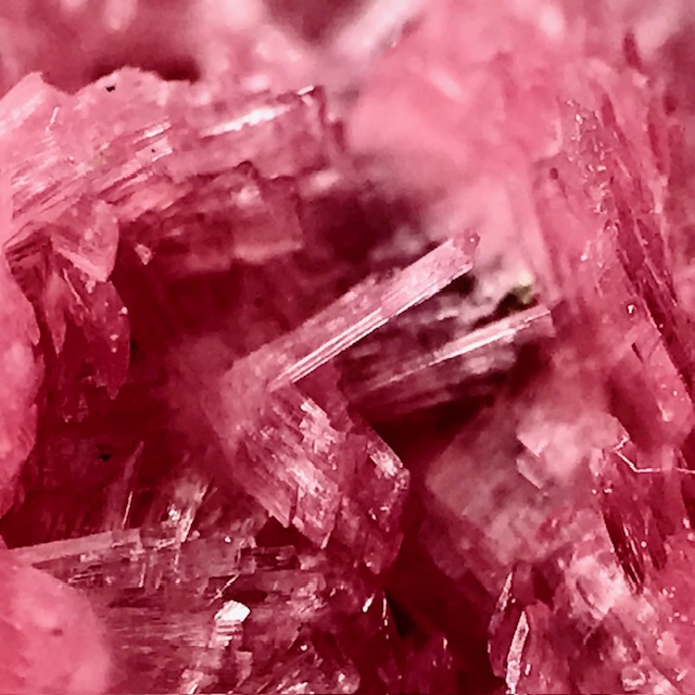 Rhodonite