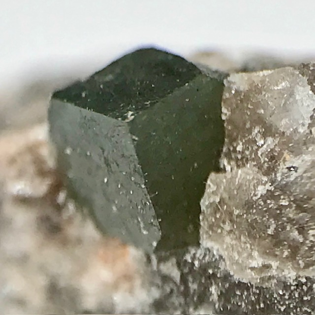 Boracite