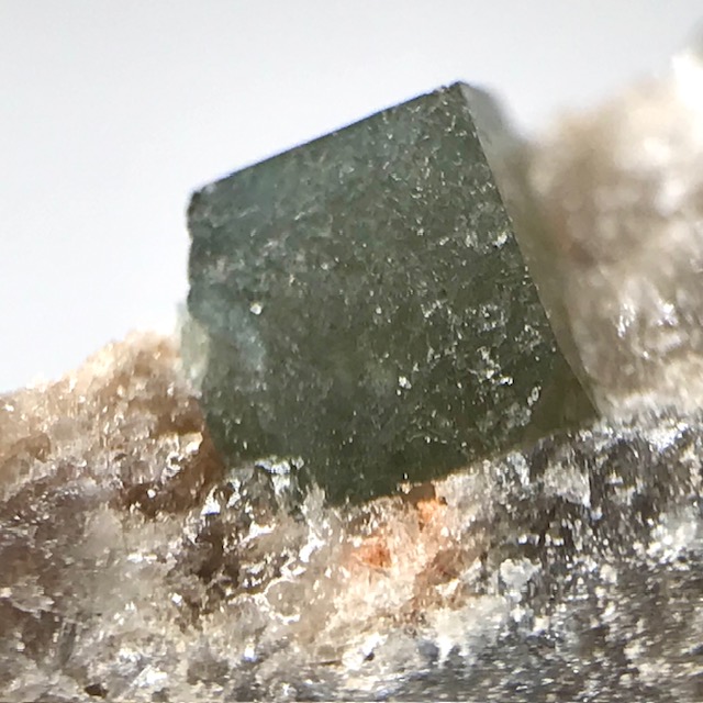 Boracite