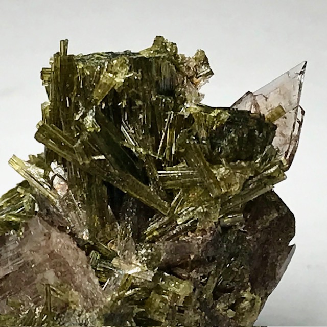 Axinite-(Mn)