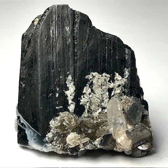 Ferberite