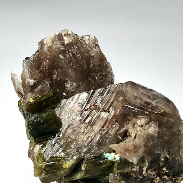 Axinite-(Mn)