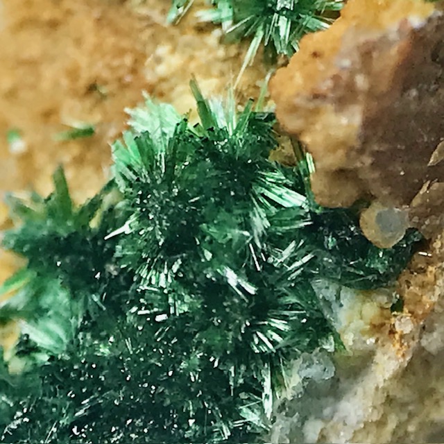 Olivenite