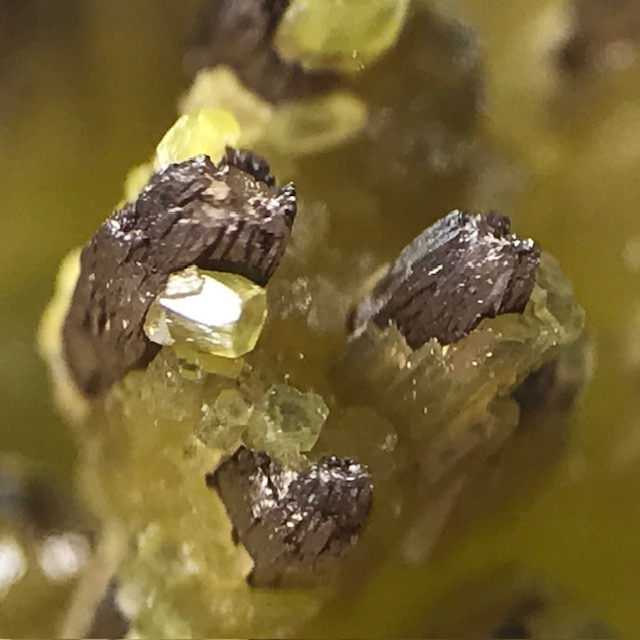 Pyromorphite
