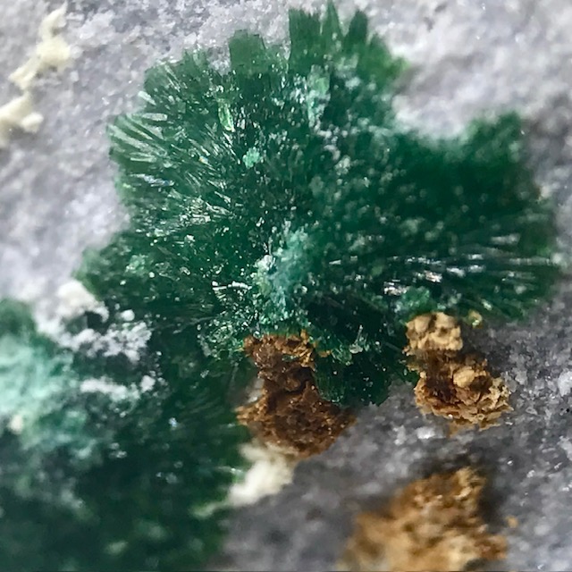 Olivenite