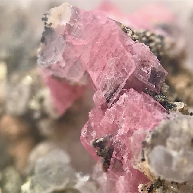 Rhodonite