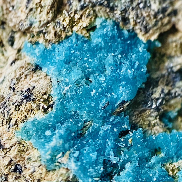 Chalcanthite