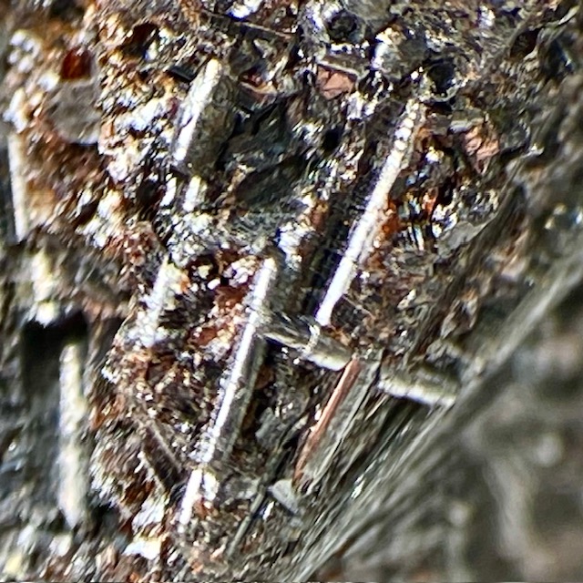 Cylindrite