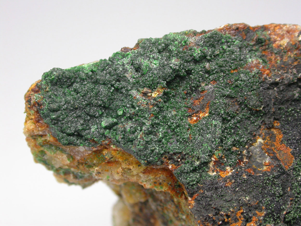 Bayldonite