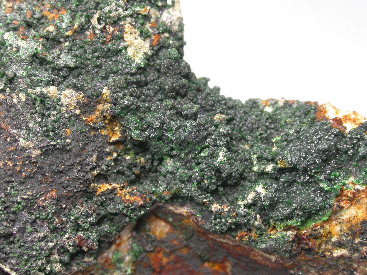 Bayldonite