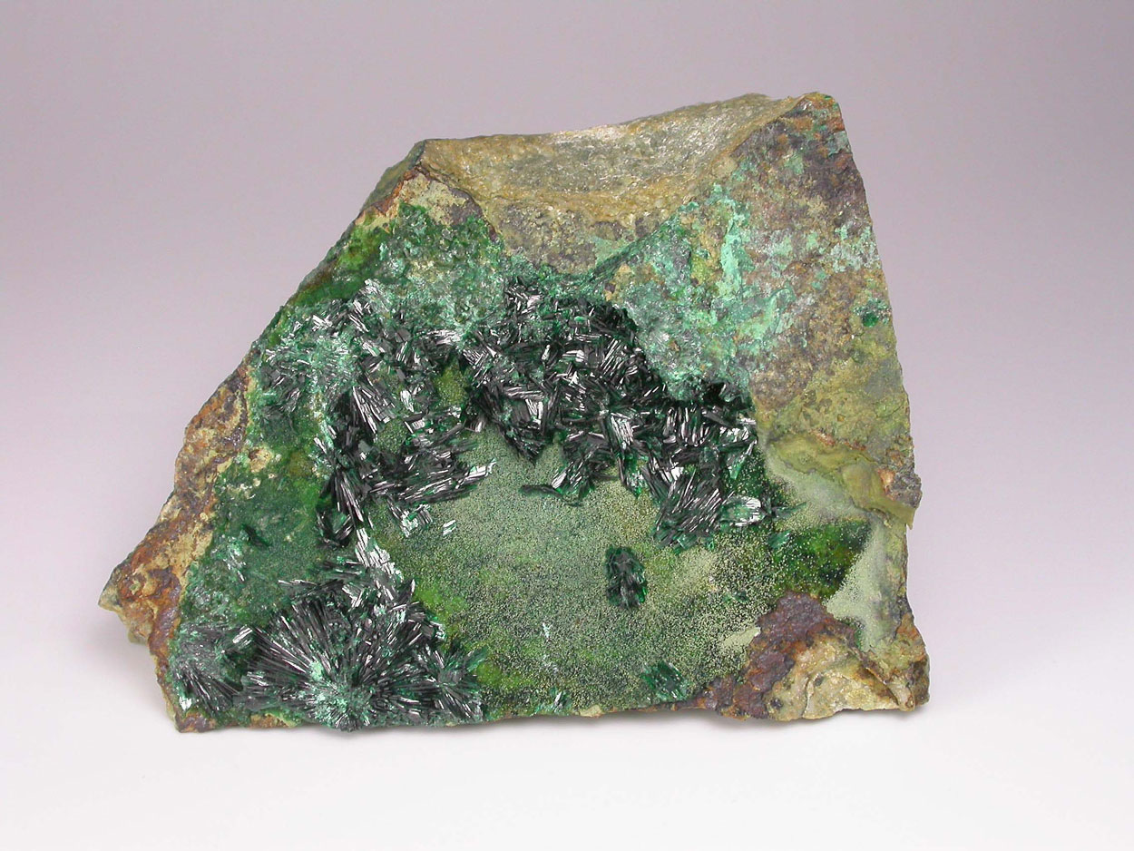 Atacamite Chrysocolla & Halloysite