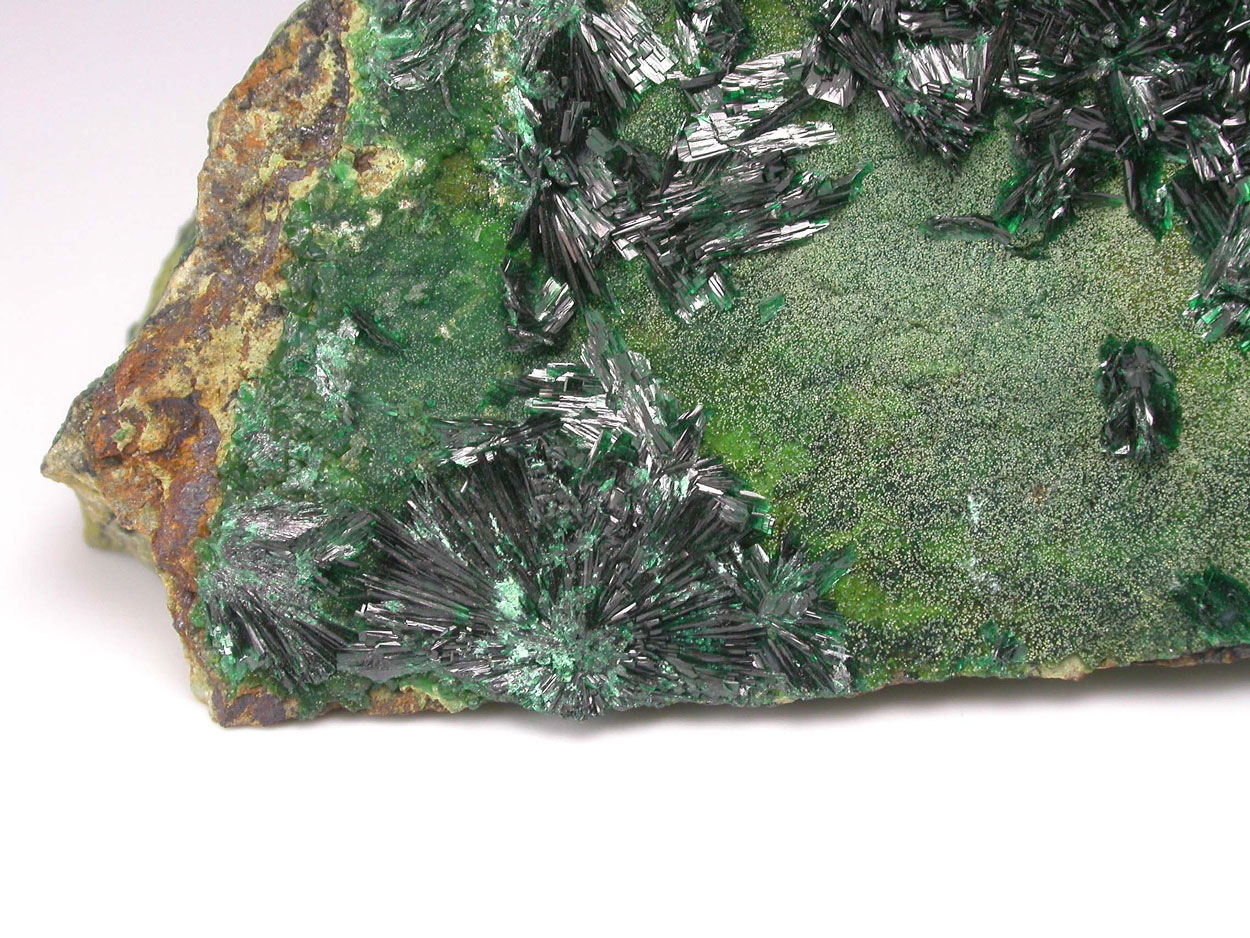 Atacamite Chrysocolla & Halloysite