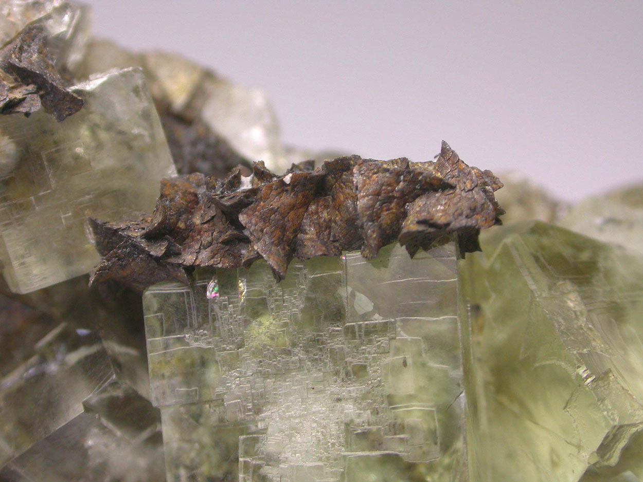 Fluorite & Siderite