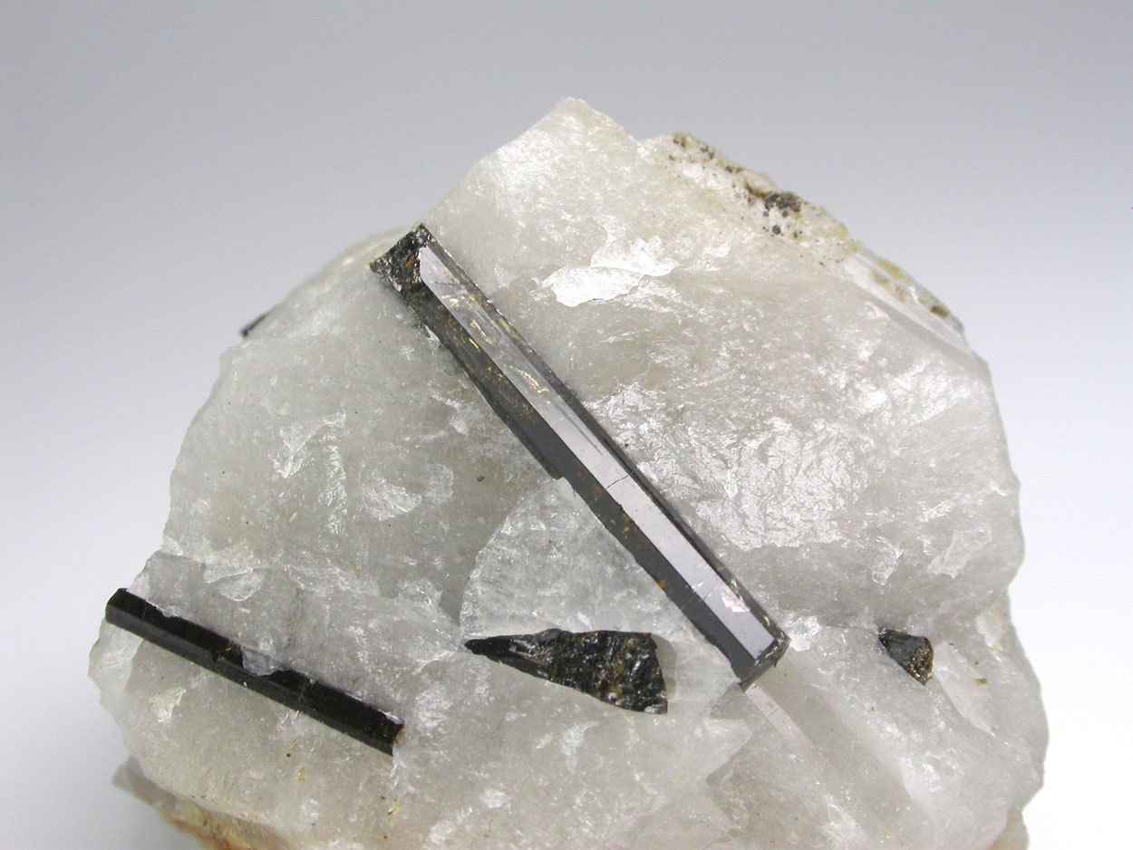 Schorl In Quartz