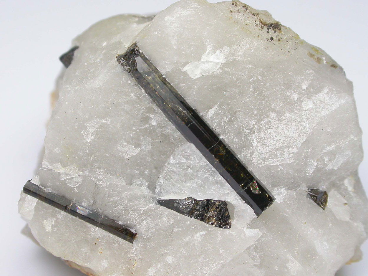 Schorl In Quartz