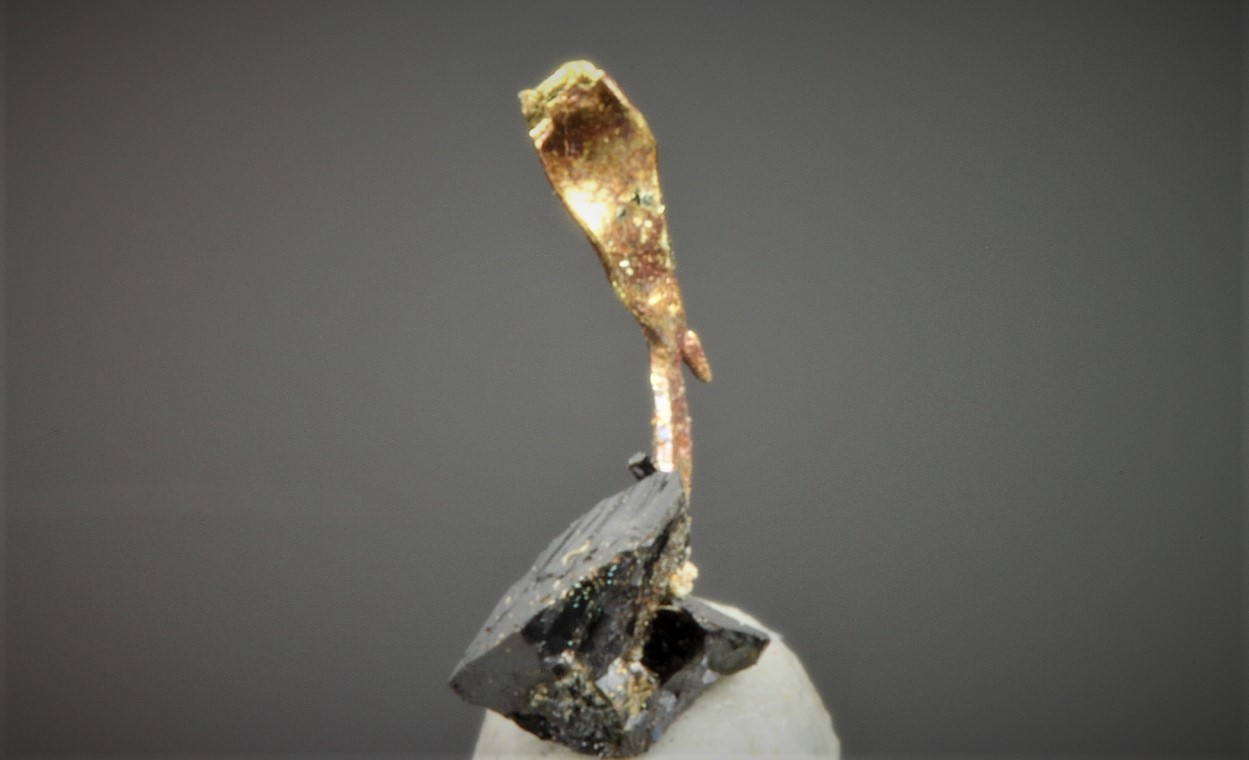 Gold On Sphalerite