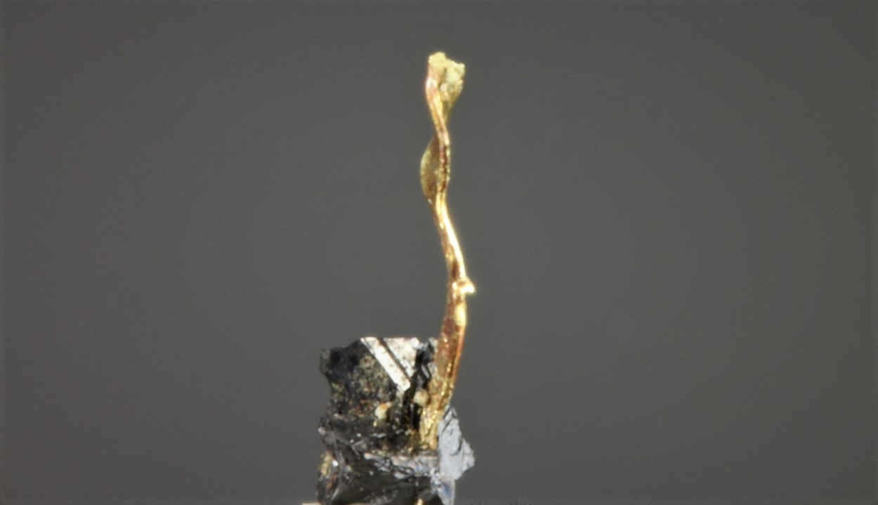 Gold On Sphalerite