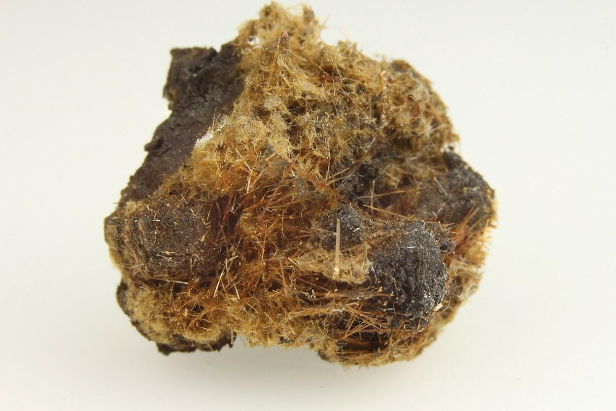 Astrophyllite