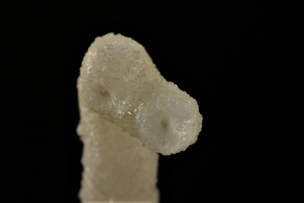 Aragonite Var Flos Ferri