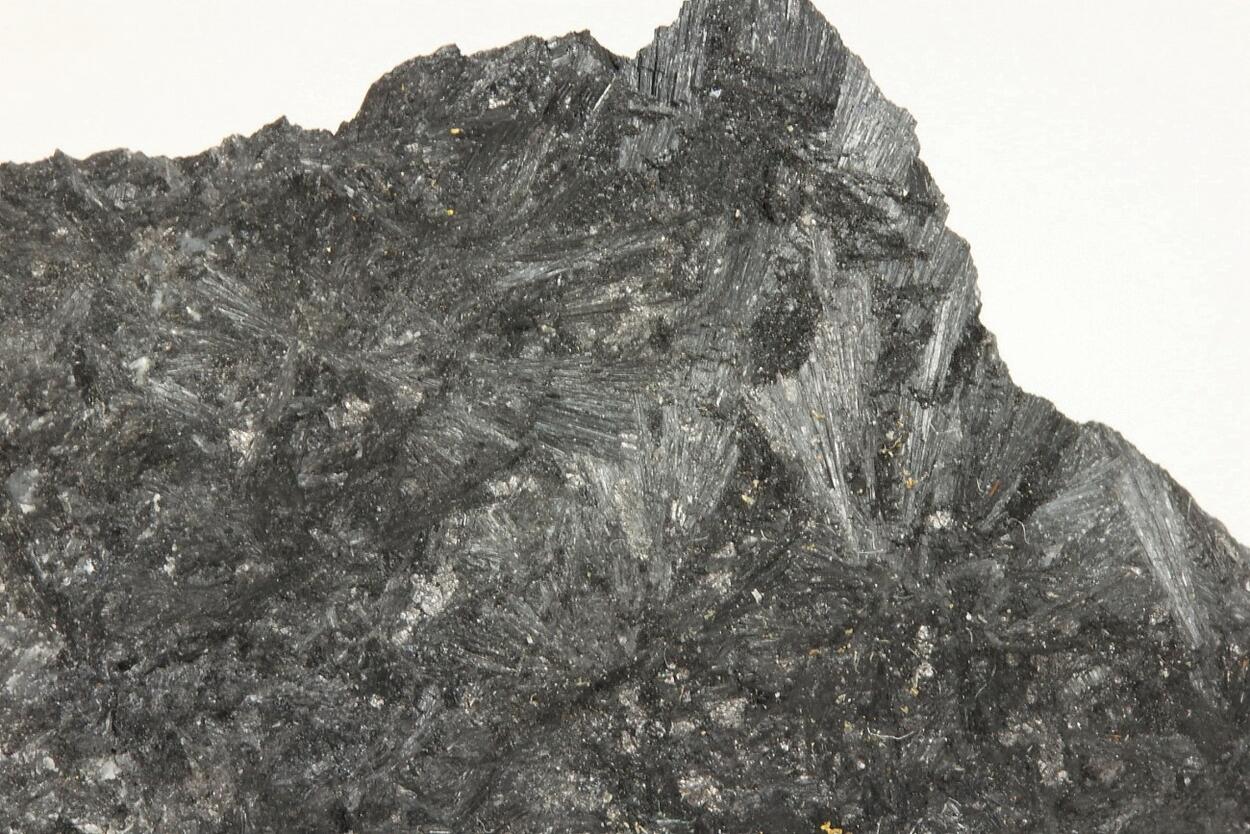 Ludwigite