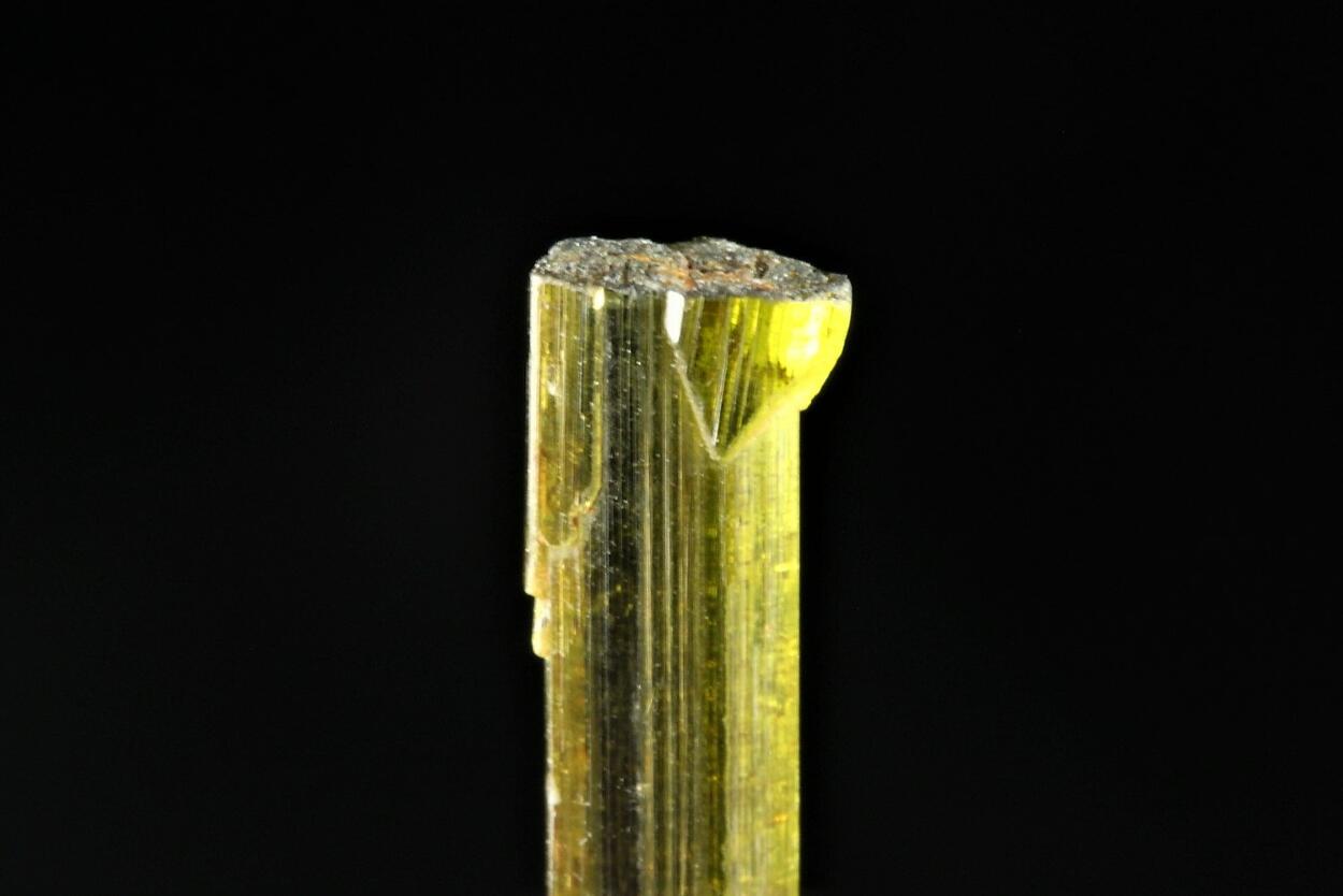 Sceptre Elbaite