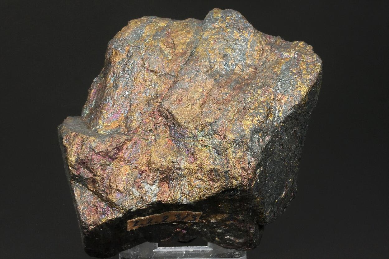 Renierite Chalcopyrite Bornite