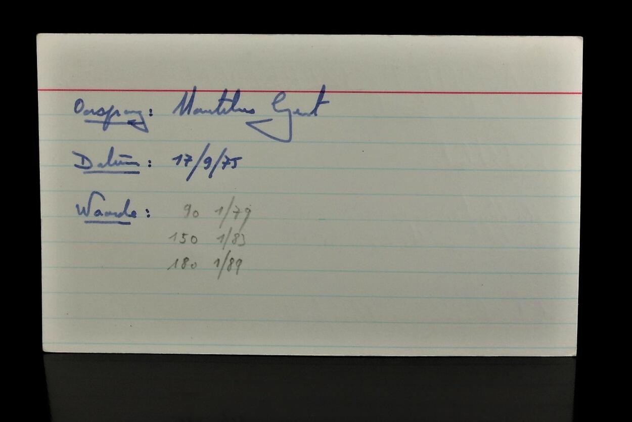 Flos Ferri Aragonite