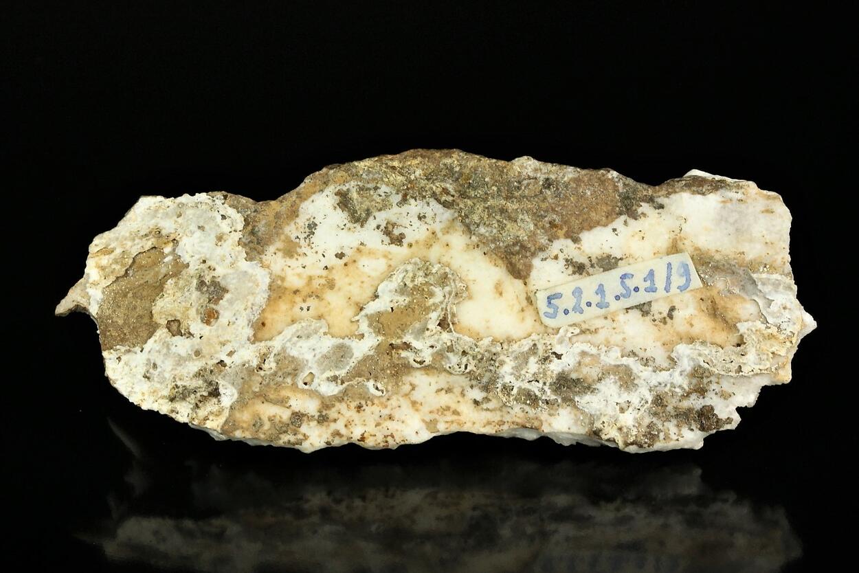 Flos Ferri Aragonite