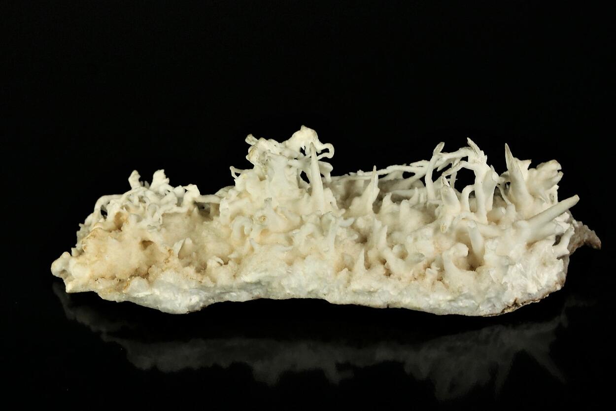 Flos Ferri Aragonite