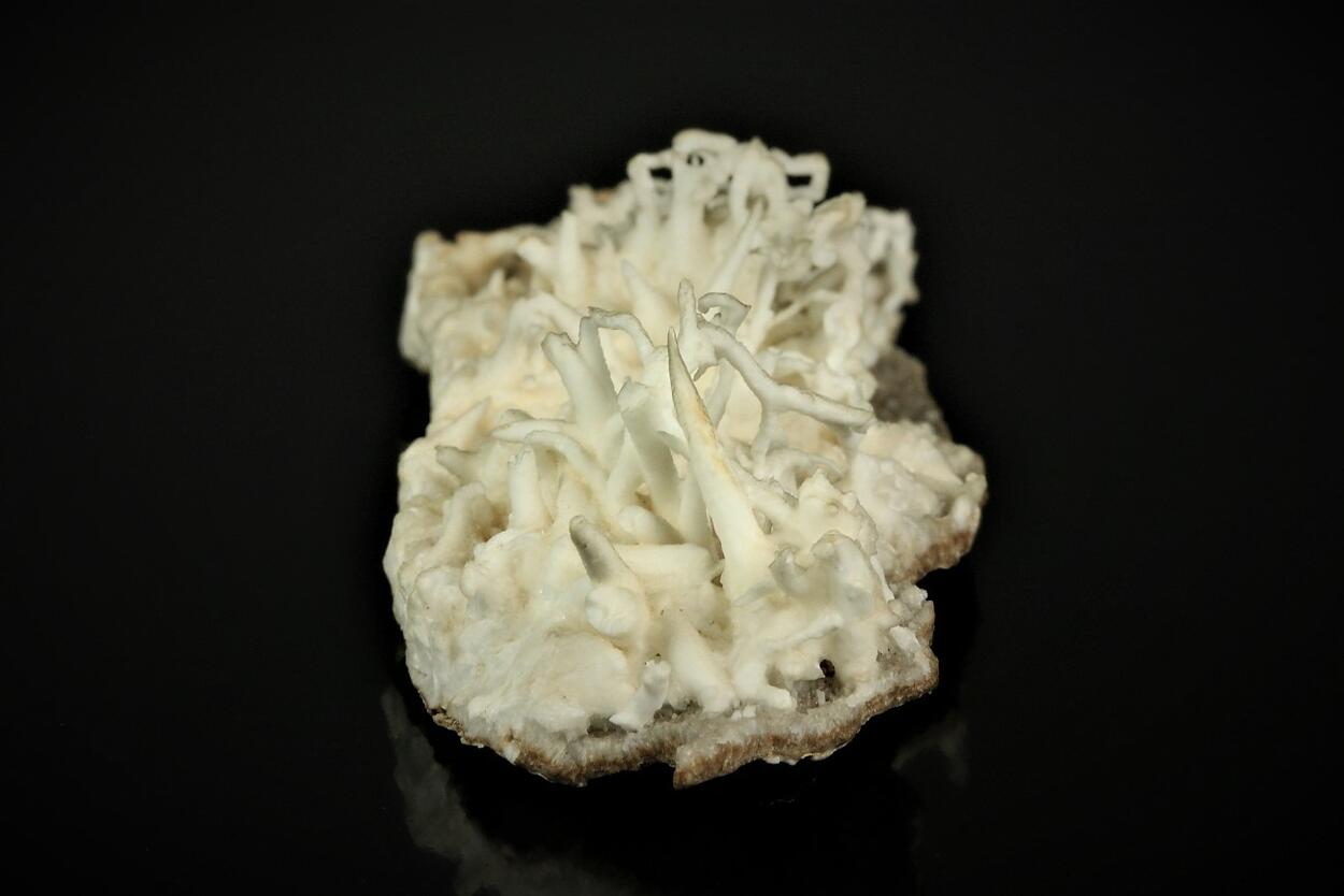 Flos Ferri Aragonite
