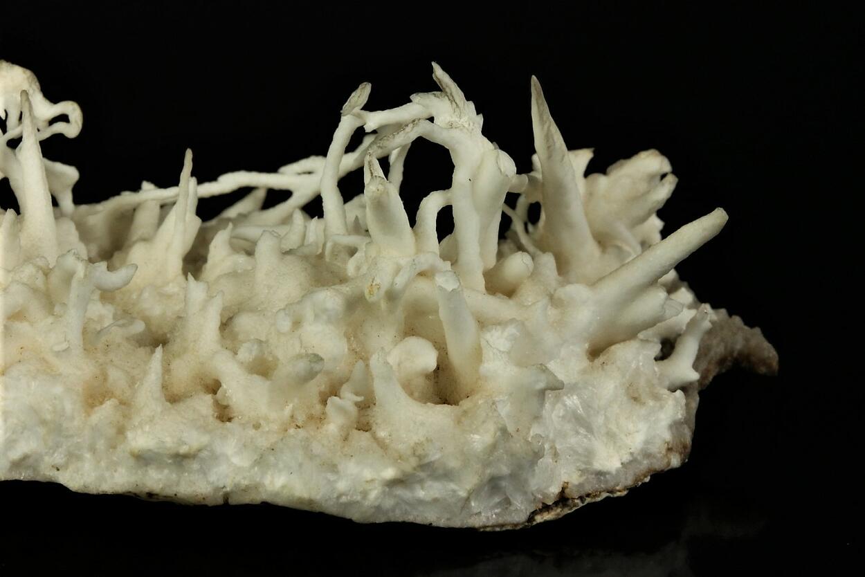 Flos Ferri Aragonite