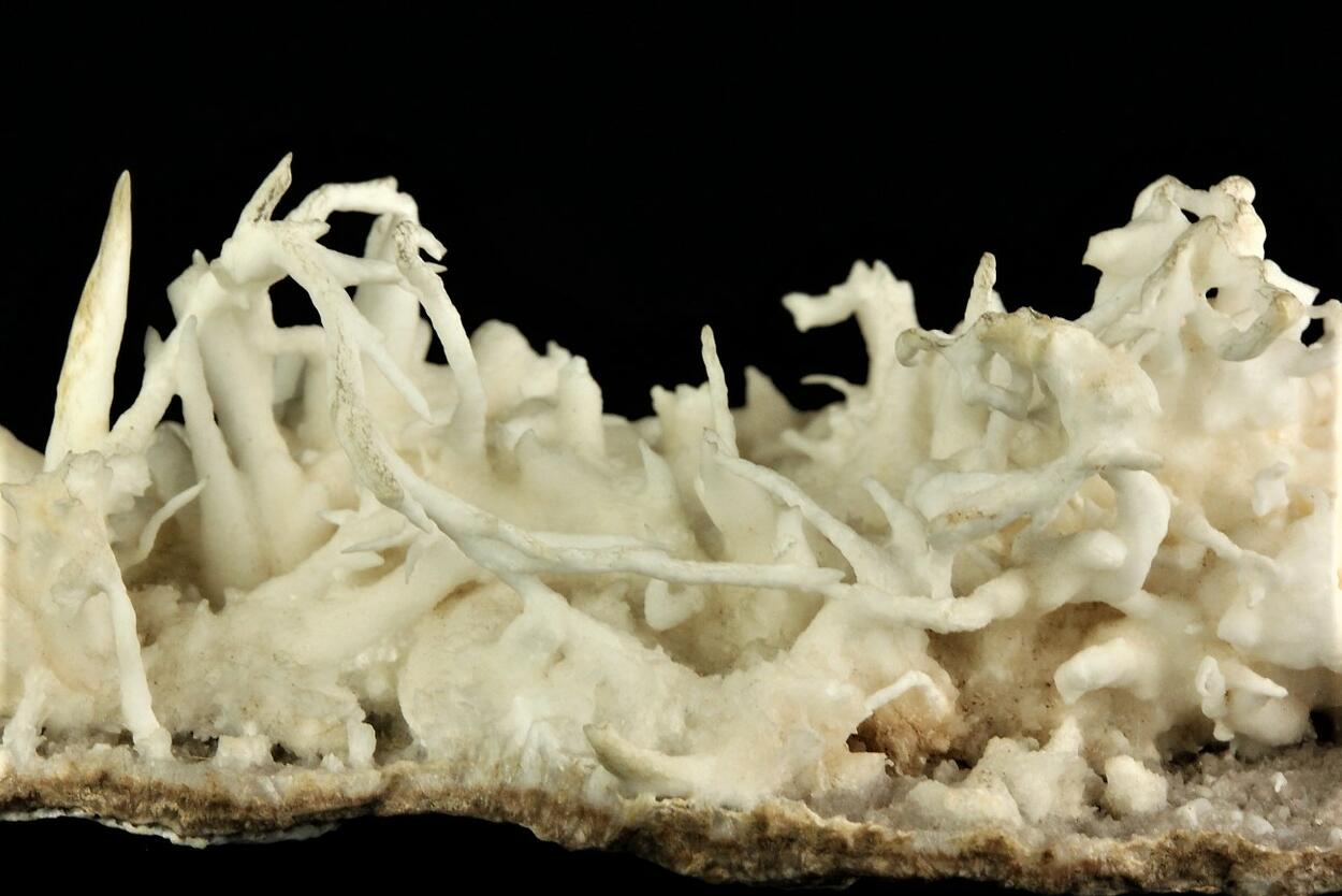 Flos Ferri Aragonite