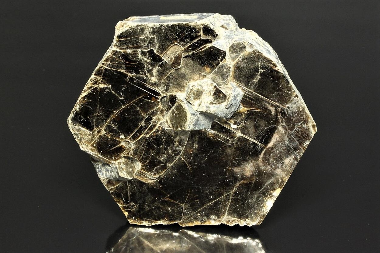 Phlogopite