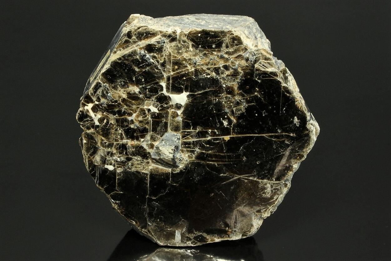 Phlogopite