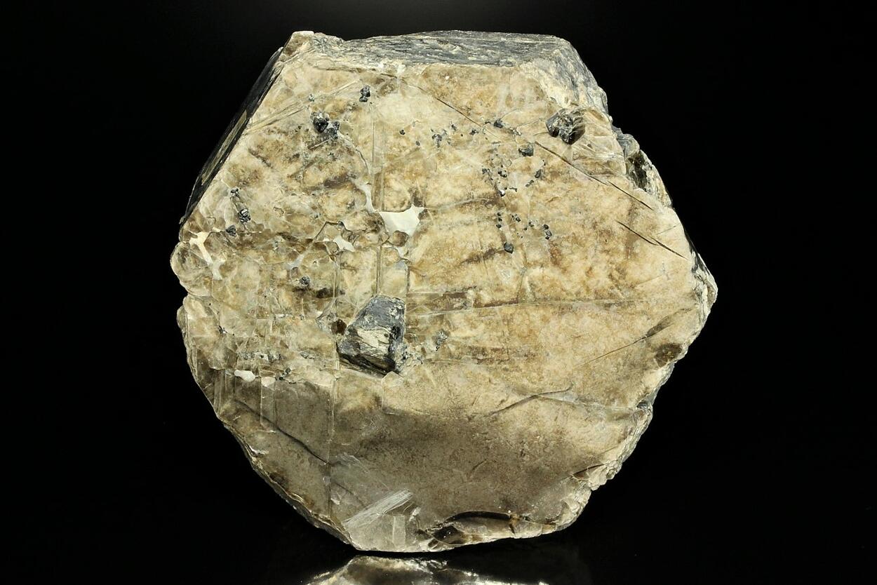 Phlogopite