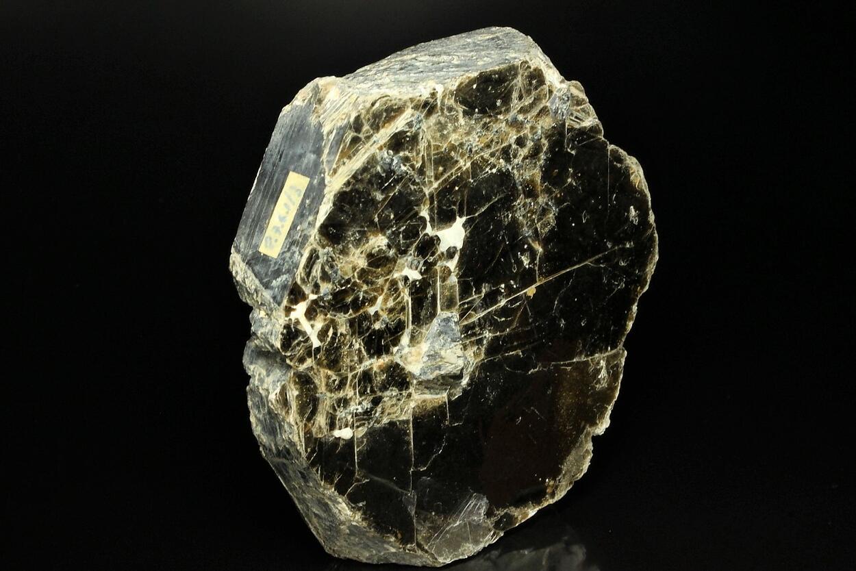 Phlogopite