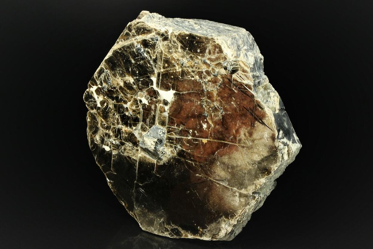 Phlogopite