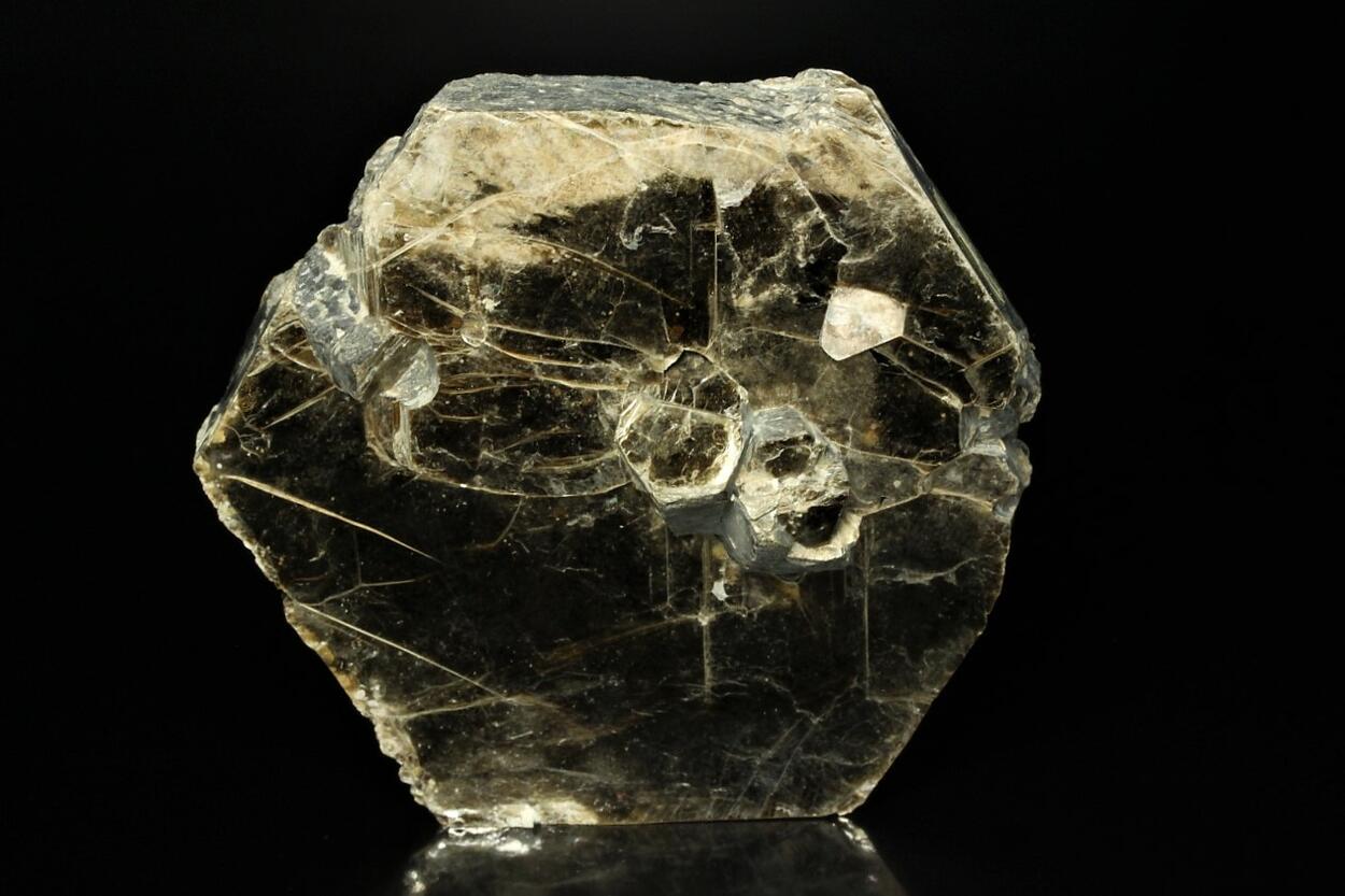 Phlogopite