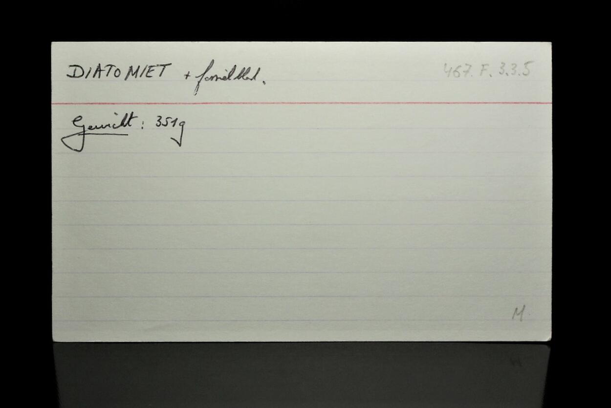 Fossil Plant In Diatomite