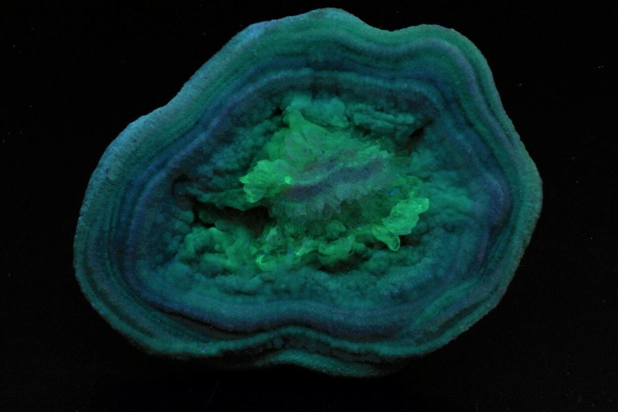 Chalcedony With Quartz