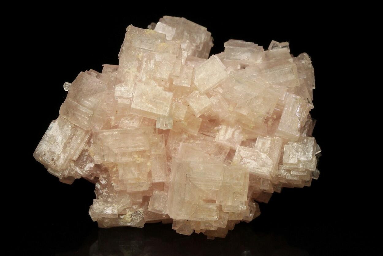 Skeletal Halite