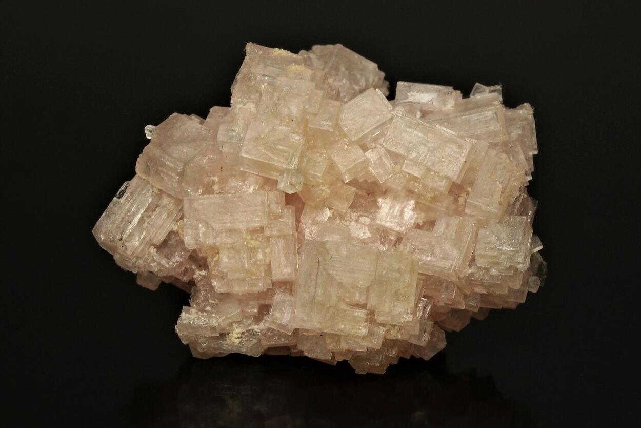 Skeletal Halite