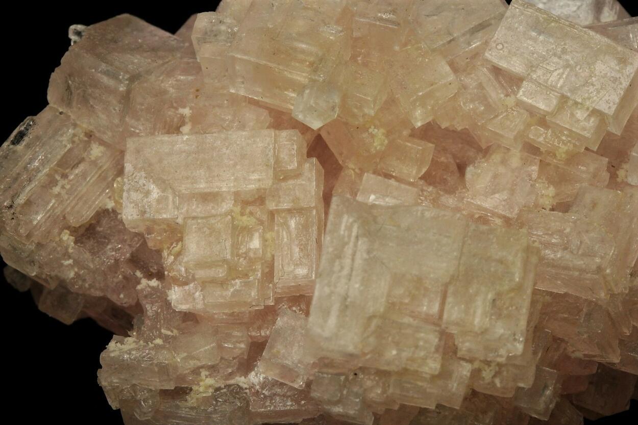 Skeletal Halite
