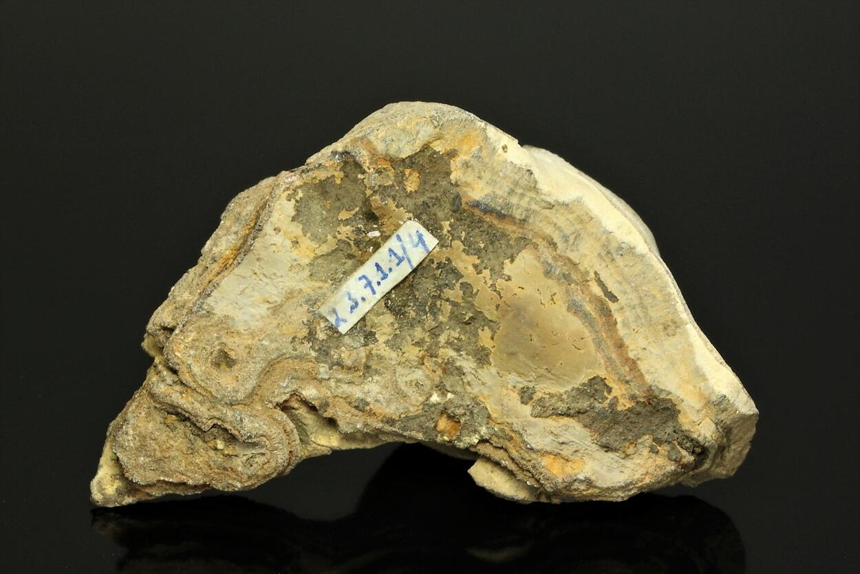 Schalenblende