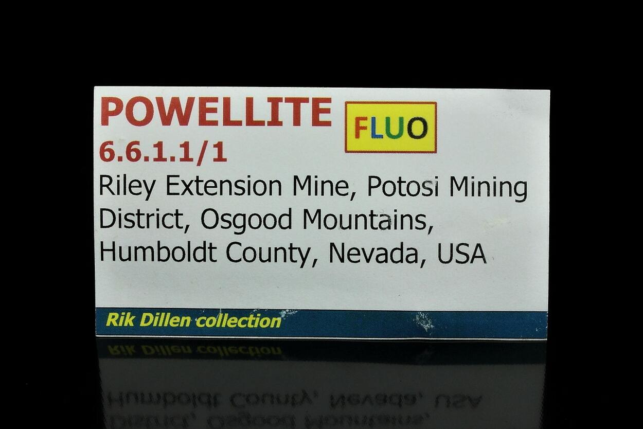 Powellite