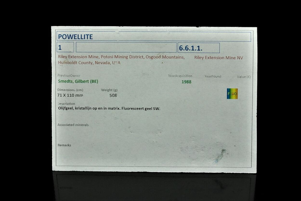 Powellite